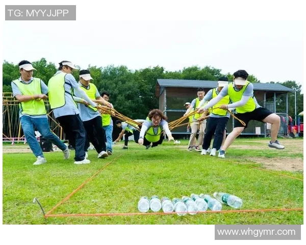 武汉篮球队团队协作深度对比分析与表现评估