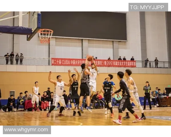 武汉篮球队总决赛战术解析与表现评估的深度分析